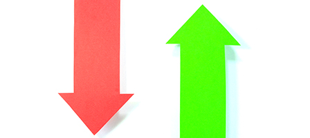 Hobby or Business? It Makes a Difference for Taxes - Now More than Ever
