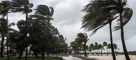 Tax Relief for Victims of Hurricane Ian