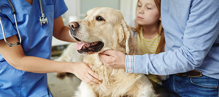 Could Your Dog Qualify for a Tax Break? A New Proposal Says �Yes!�