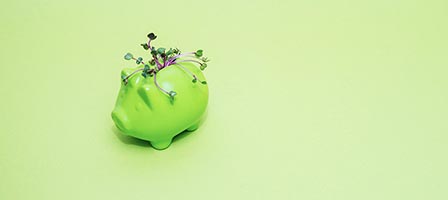 Video Tips: Roth IRA 5-Year Rule - What Is It?