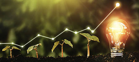 Video Tips: Timing Capital Gains for QOFs