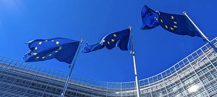 Could Simpler EU Tax Rules Create New Opportunities for Tax Avoidance?