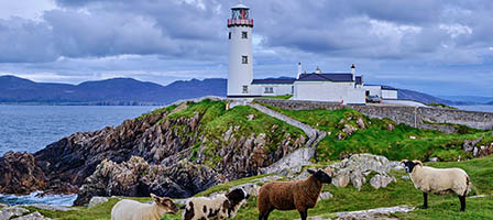 Apple Paid 40% of Its Global Taxes to Ireland. Here's Why.