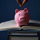 How Coverdell and 529 Education Savings Plans Differ
