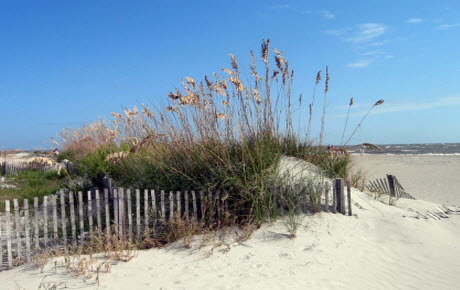 Tybee Island Cottages Georgia Vacation Al Tybee Island Beach